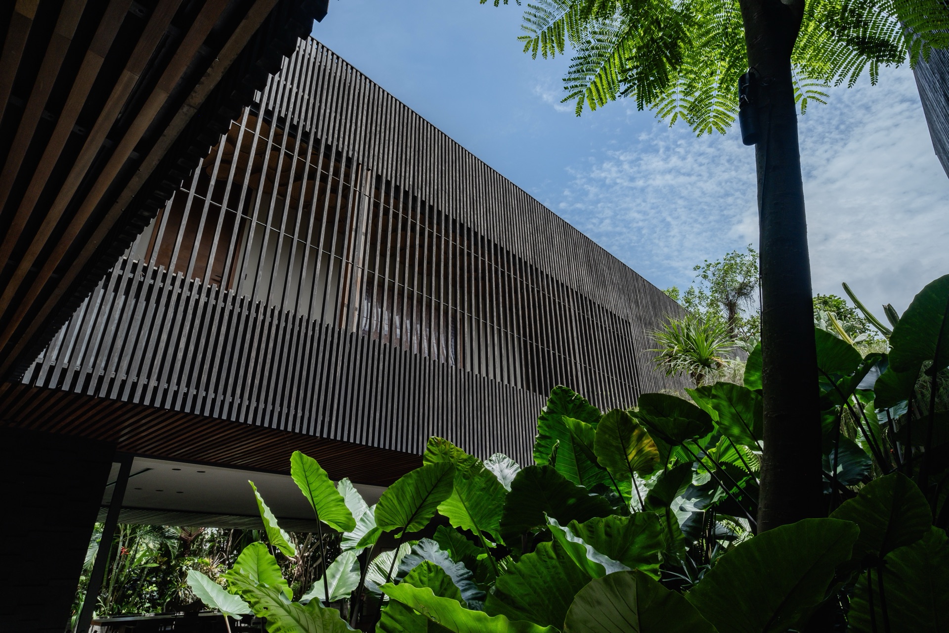 The jade lap pool at Ocean Palm, framed by charred-timber pavilions